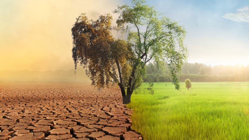 How Climate Change Is Shaping the Future of Power Washing Services