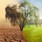 How Climate Change Is Shaping the Future of Power Washing Services