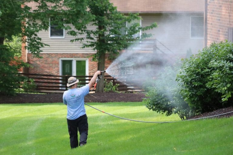 Power Washing Lawn