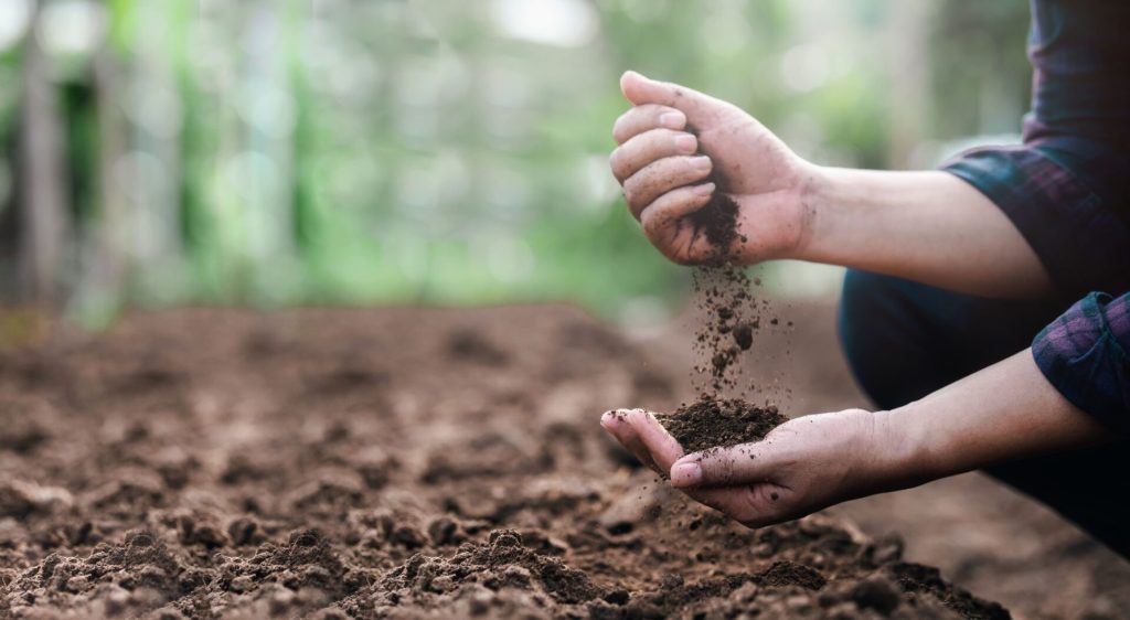 The Impact of Power Washing on Native Plant Life and Soil Health