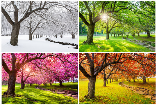 What Time of Year Is Best for Hiring a Power Washing Company?