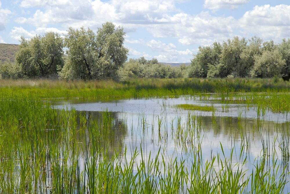How Pressure Washing Affects Nearby Lakes, Rivers, and Wetlands