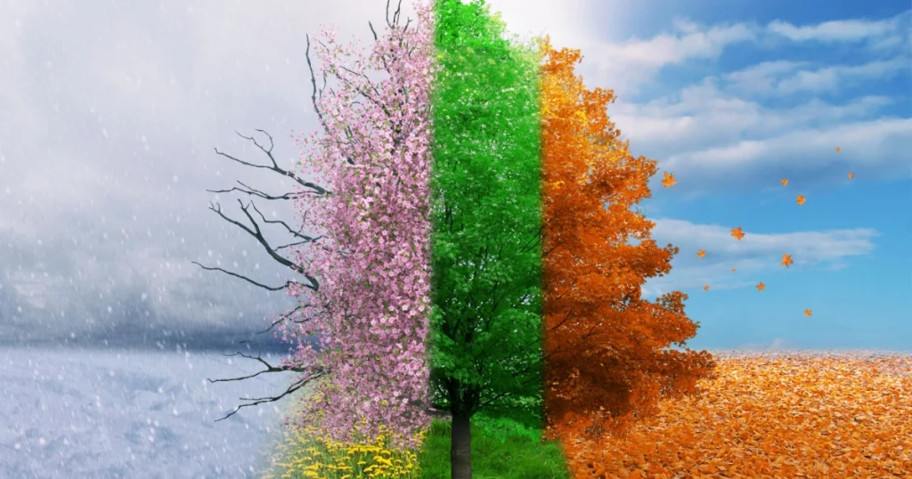 Seasonal Power Washing Tips for Spring, Summer, Fall, and Winter