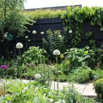 Creating a Wildlife-Friendly Power Washing Routine: A Guide for Eco-Conscious Homeowners