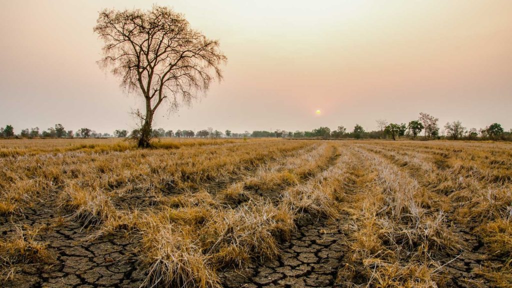 Power Washing in Drought-Prone Regions: Conservation Strategies for Arid Climates