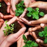 Eco-Friendly Alternatives to Traditional Power Washing