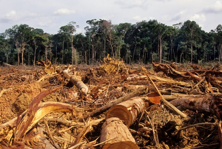 environmental impact 2