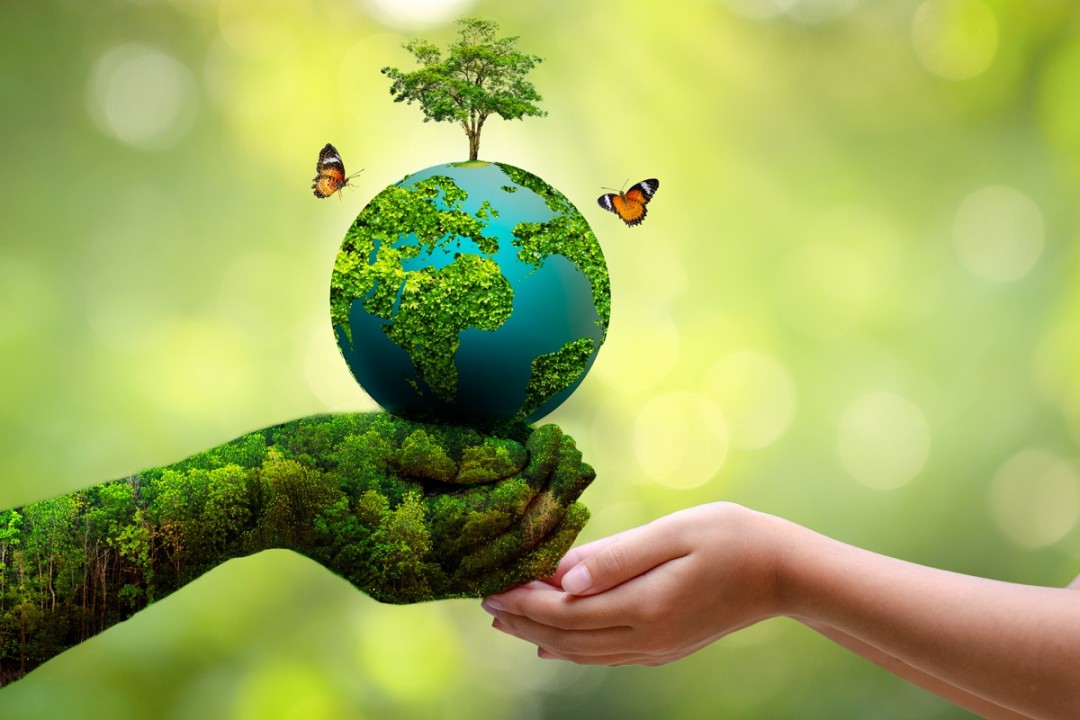 environmental safety