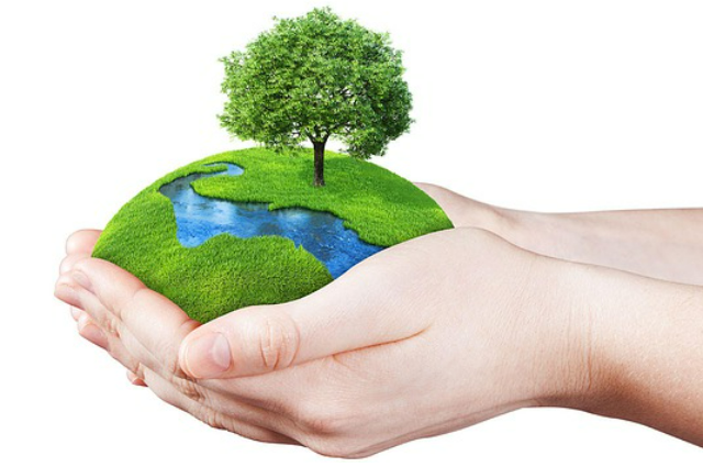 green certification