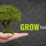 From Side Hustle to Full-Time: How to Transition Your Power Washing Business the Smart Way