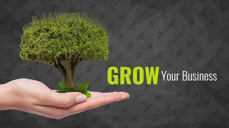 From Side Hustle to Full-Time: How to Transition Your Power Washing Business the Smart Way