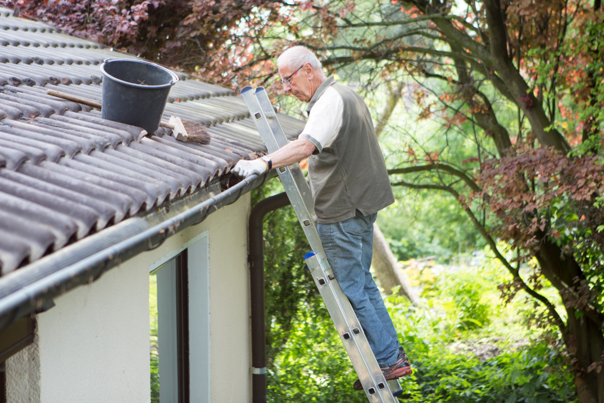 ladder roof