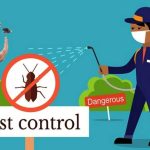 Can Pressure Washing Help With Pest Control or Removing Spider Webs and Nests?