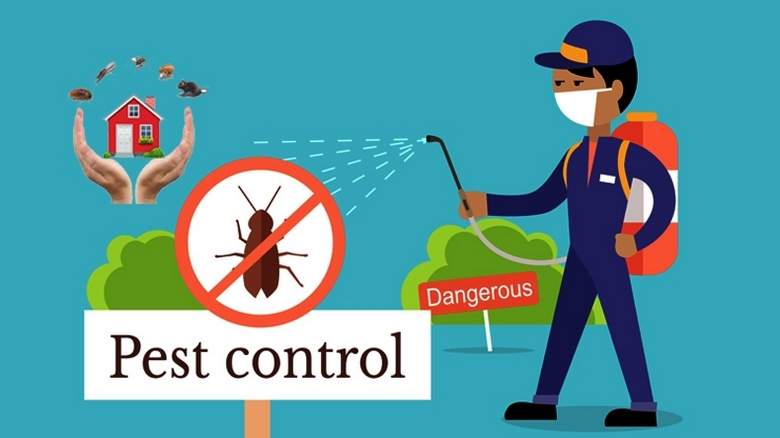 pest control 2