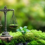 Regulations and Compliance: What Power Washers Must Know About Environmental Laws