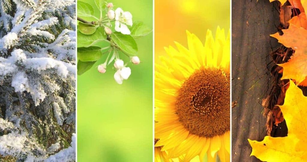 Seasonal Checklist for Maintaining Your Property With Power Washing