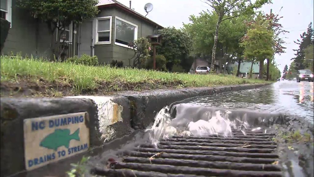 The Hidden Impact of Over Power Washing: When Clean Becomes Wasteful