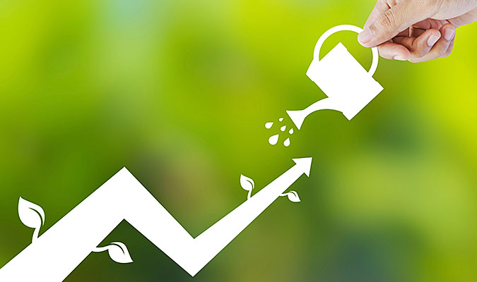 sustainable growth