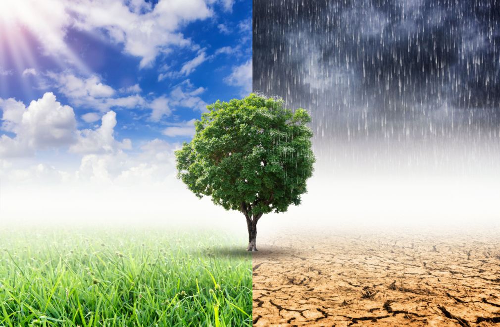 How Weather and Climate Affect Power Washing Frequency