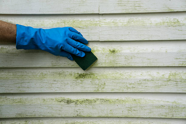 Cleaning Hardie Board