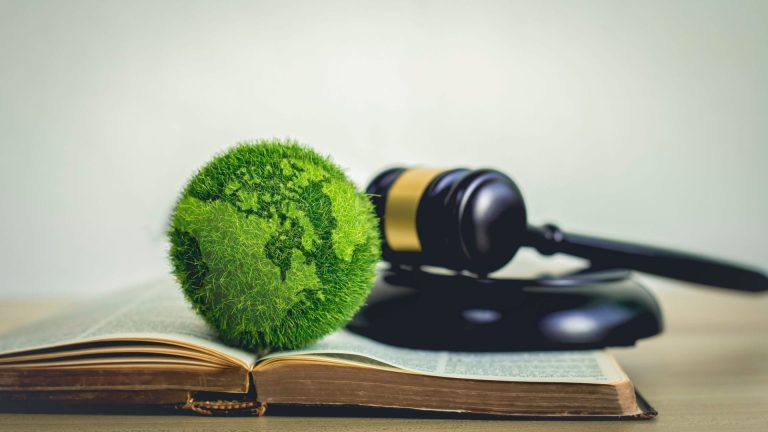 Environmental Fines