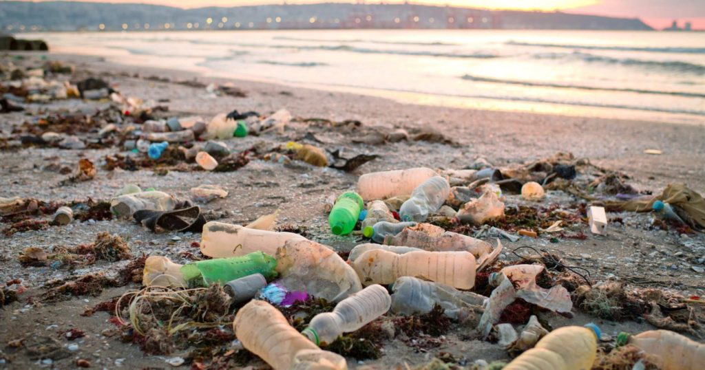 Plastic Pollution