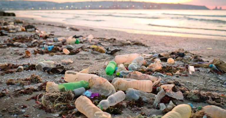 Plastic Pollution