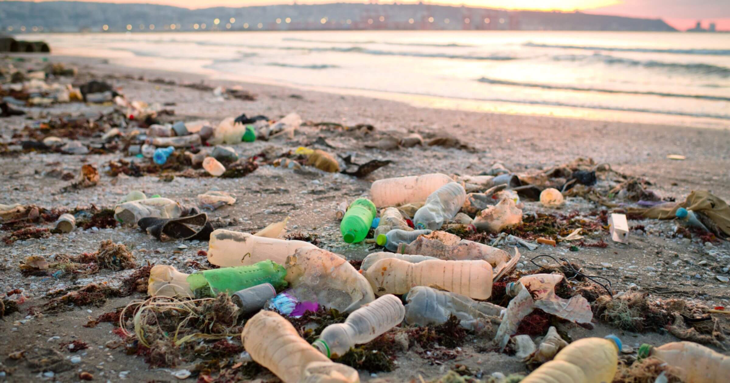 Plastic Pollution