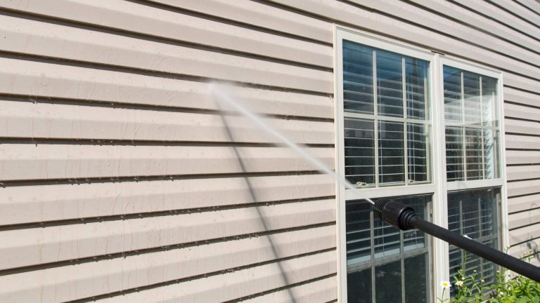 Power Washing Affects Insects