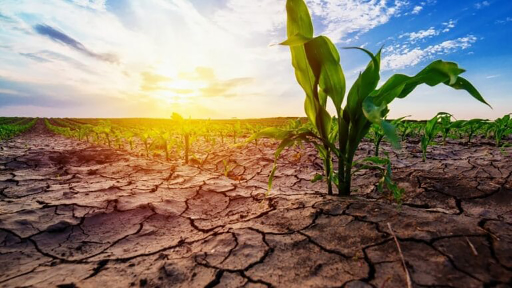 Power Washing in Drought-Prone Areas