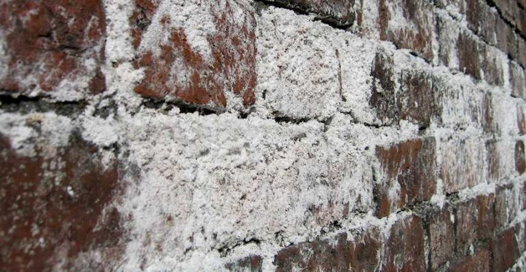 Efflorescence from Brick