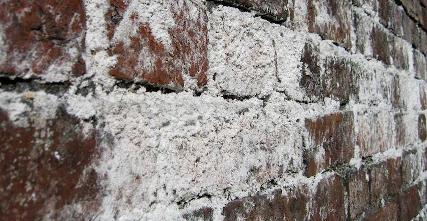 Efflorescence from Brick