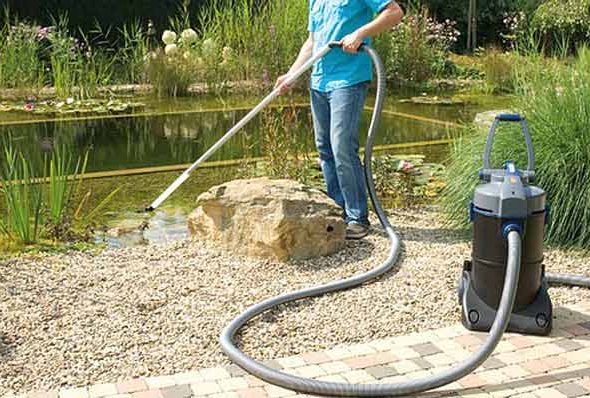 cleaning koi pond