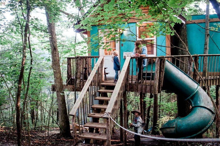 cleaning tree houses