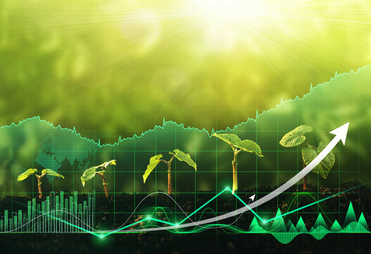 eco friendly business