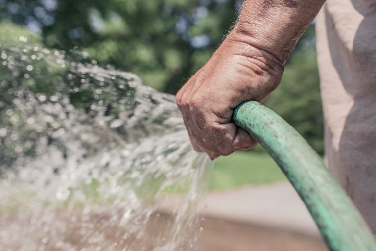 garden hose 2