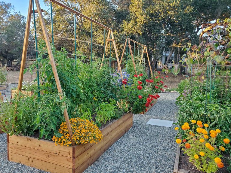 garden trellis