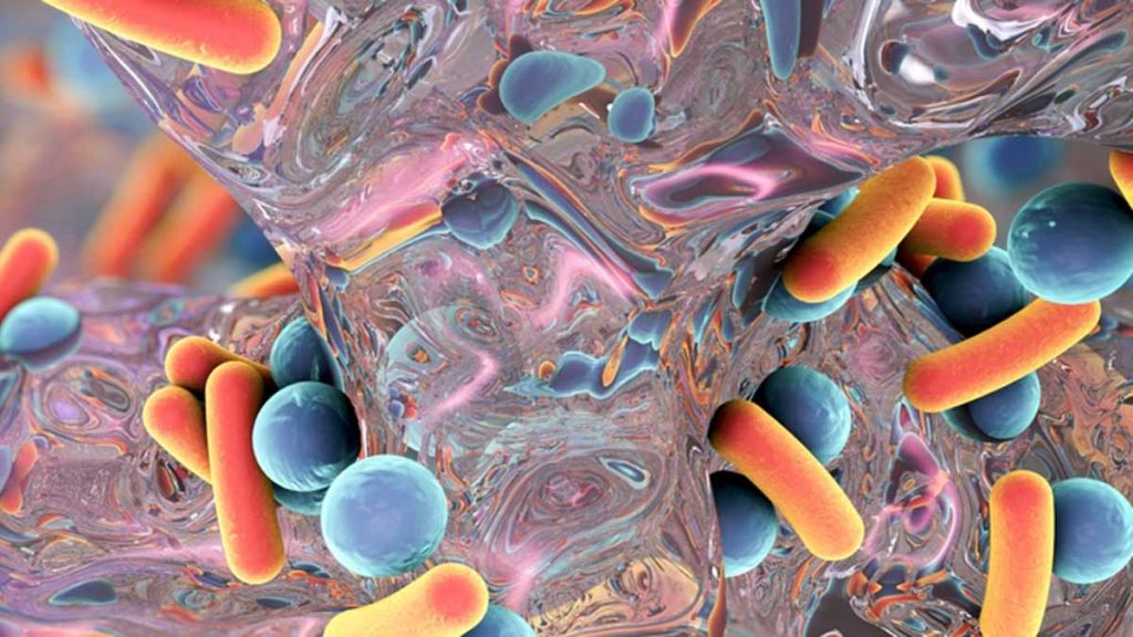 Rod-shaped bacteria, illustration