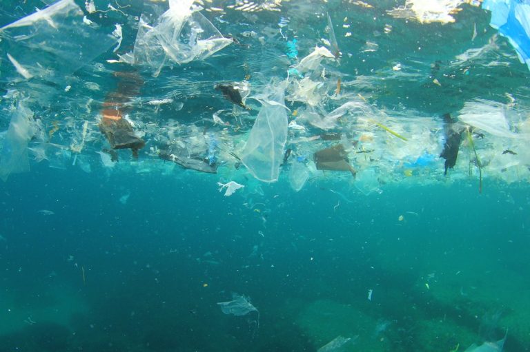 microplastic