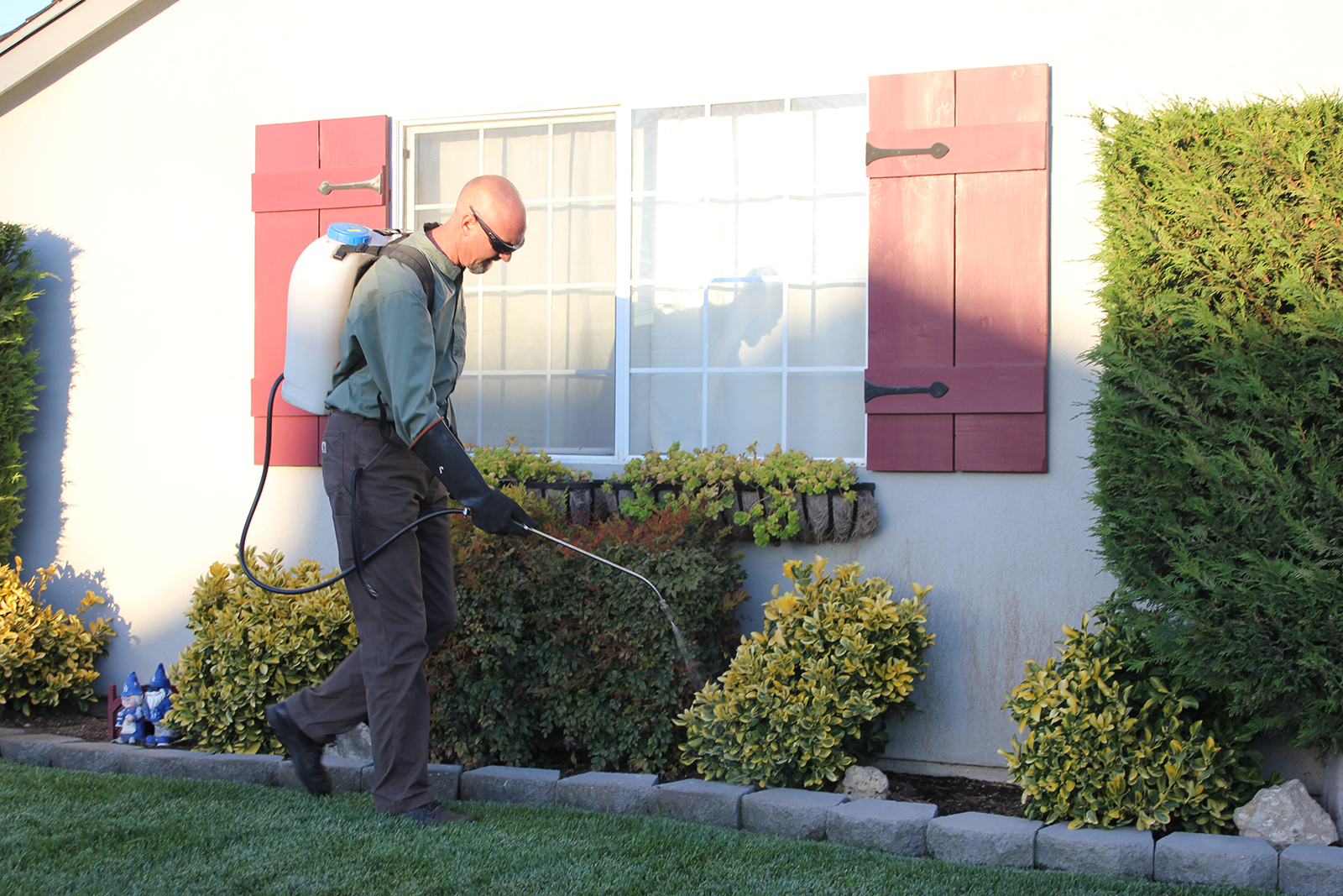 pest control 3