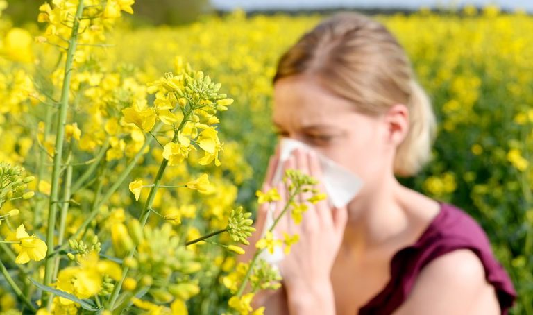 pollen season