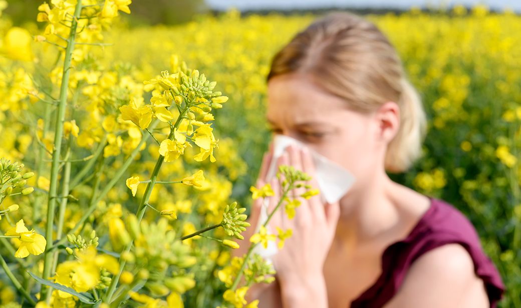 pollen season