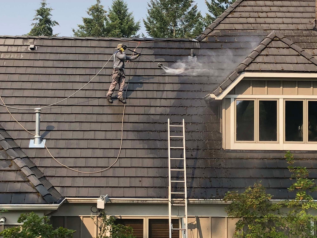 power washing roof 3