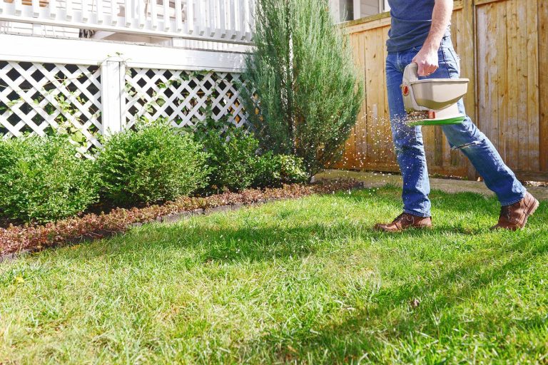 prep my yard