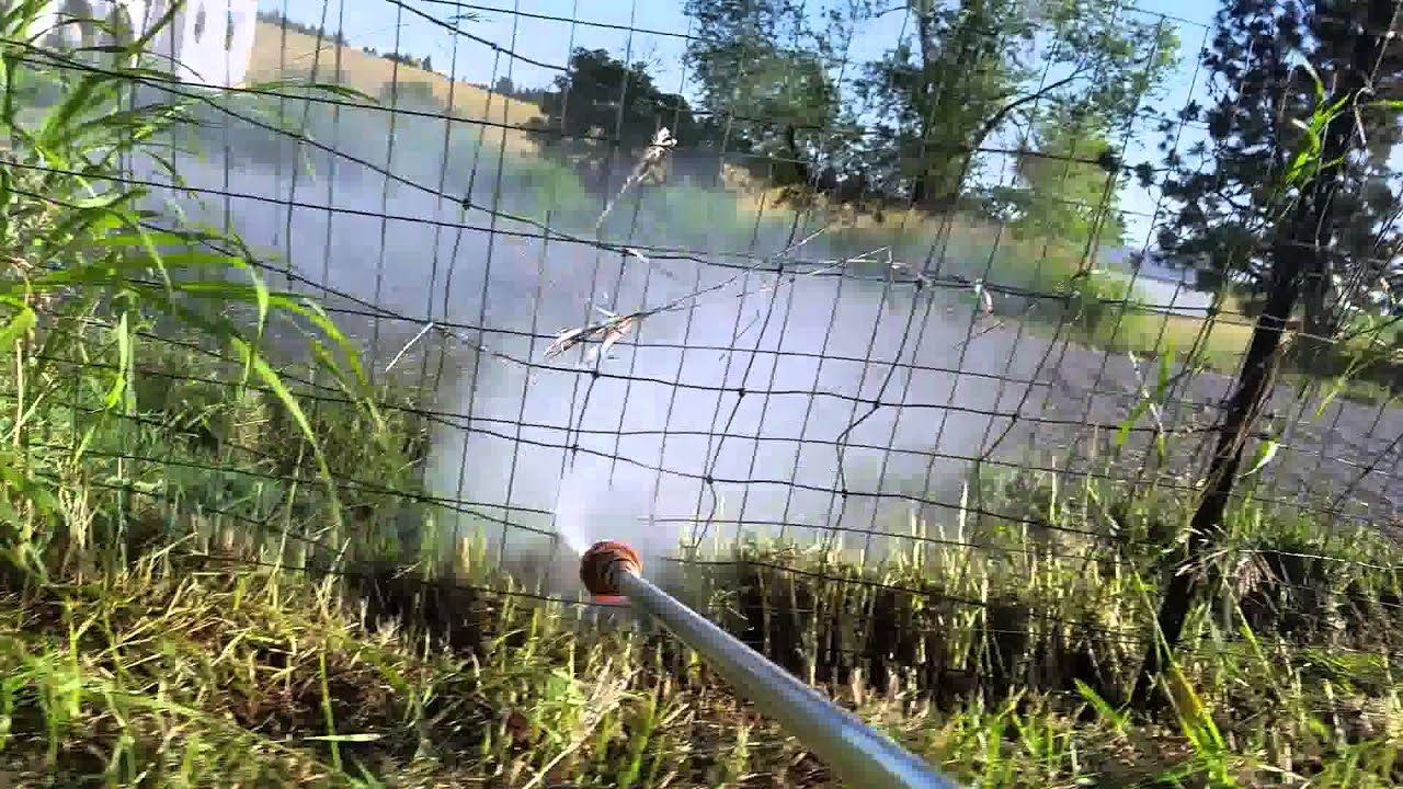 pressure wash chain link fence
