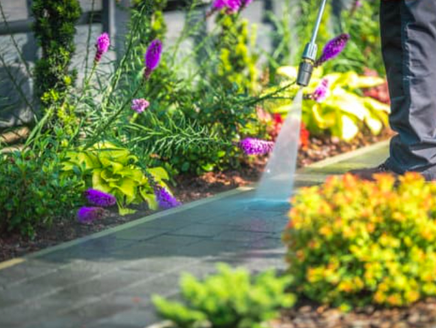 pressure washing landscape