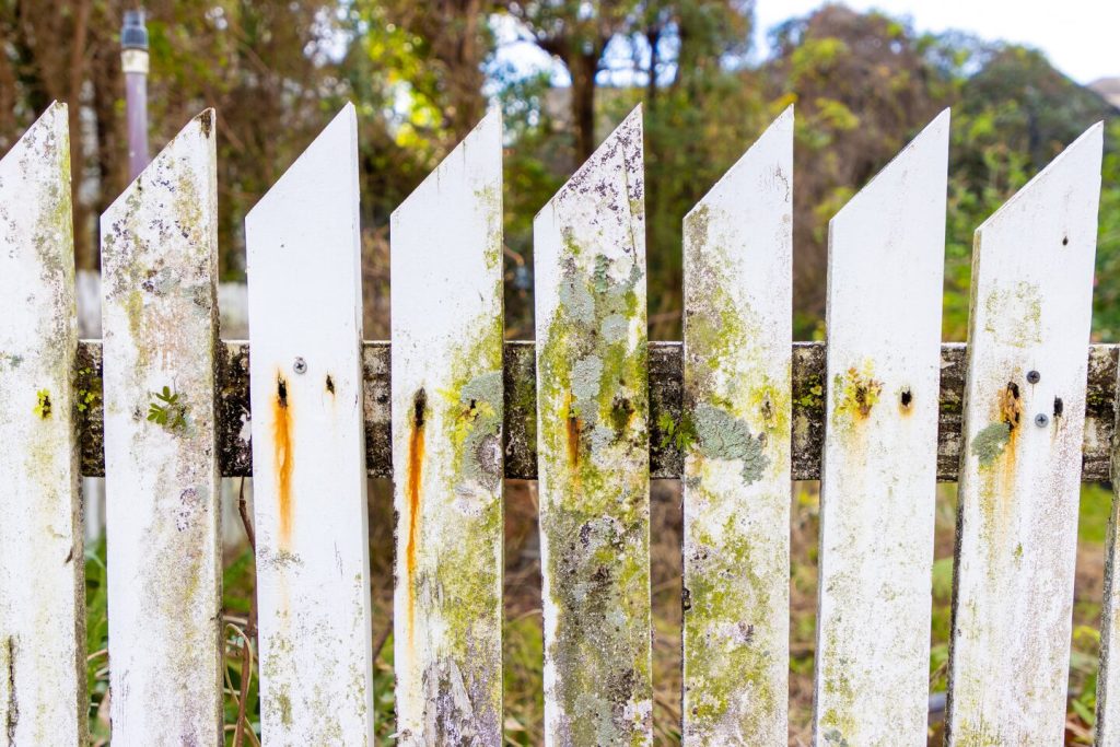 fence with peeling paint