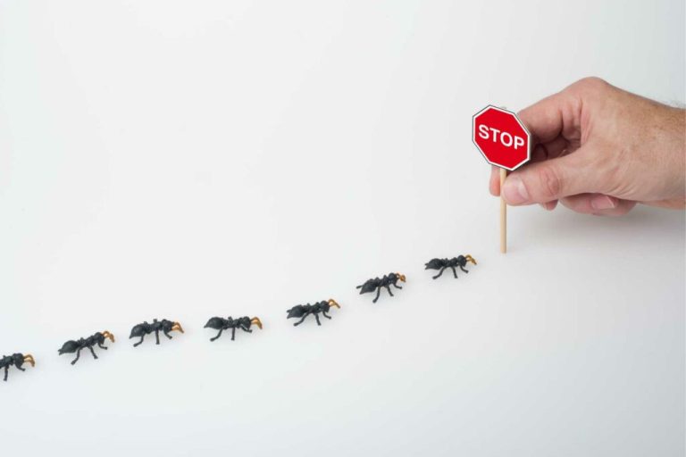 prevent pests