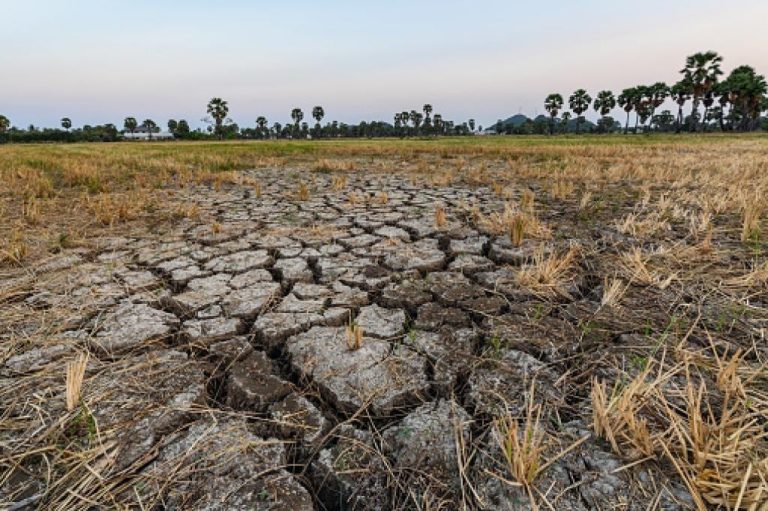 soil degredation