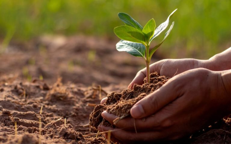 soil health